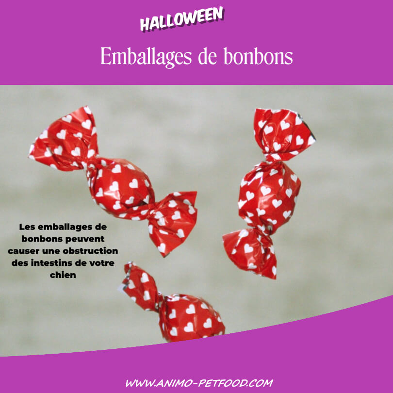 friandises-Halloween-toxiques-chiens-Bonbons